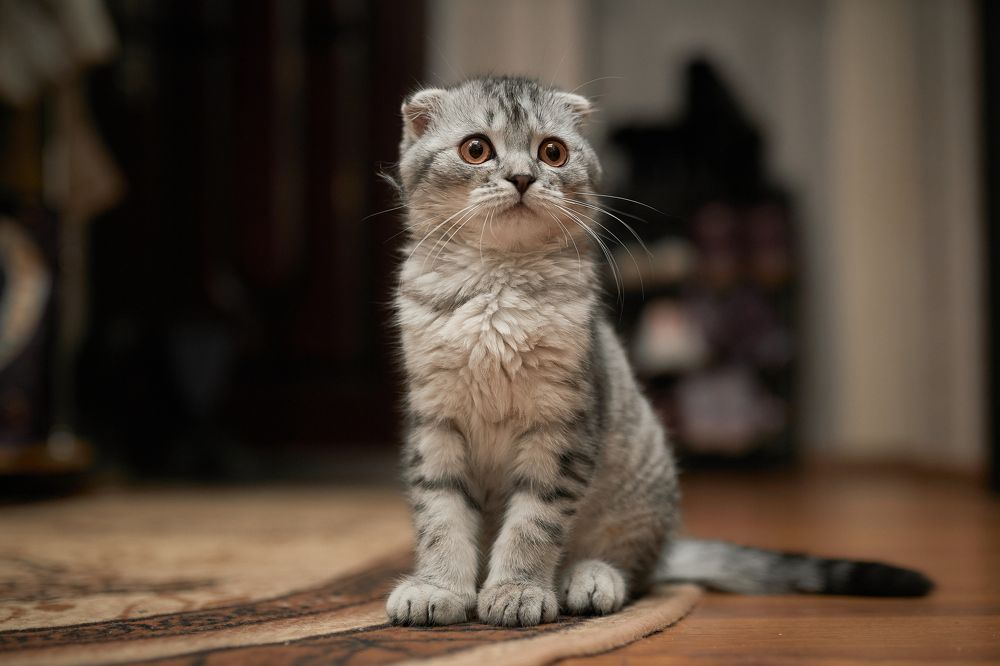 Photograph by Вадим Архипов