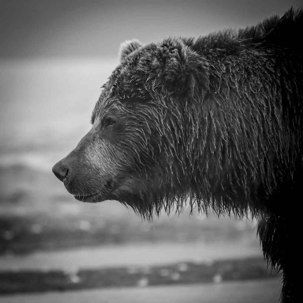 Photograph by Илья Труханов