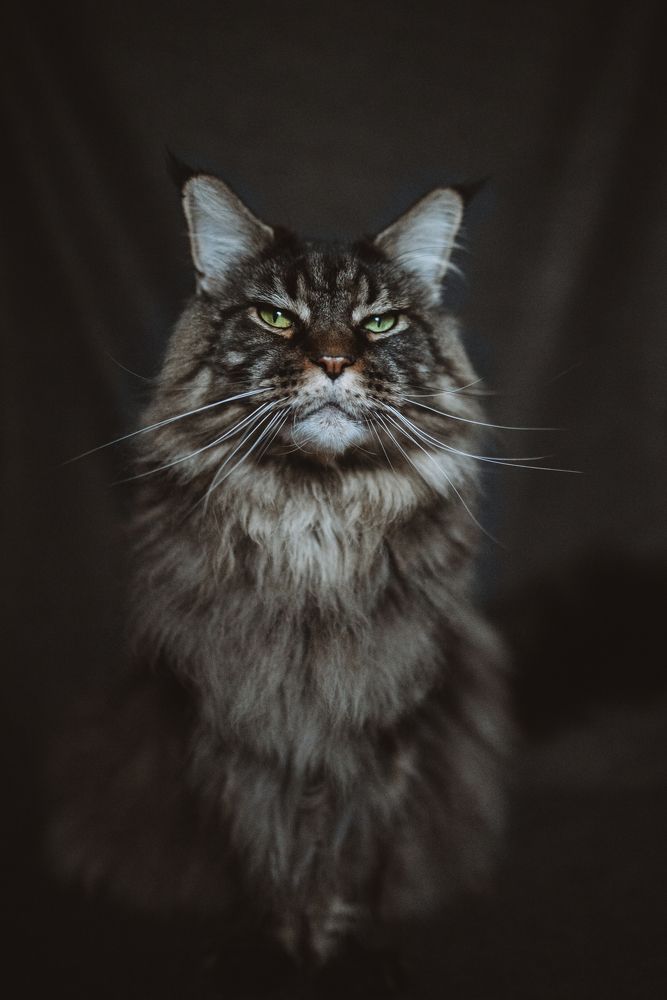 Photograph by Светлана Шмелева