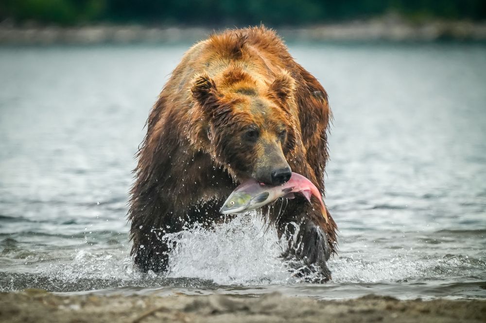 Photograph by Илья Труханов