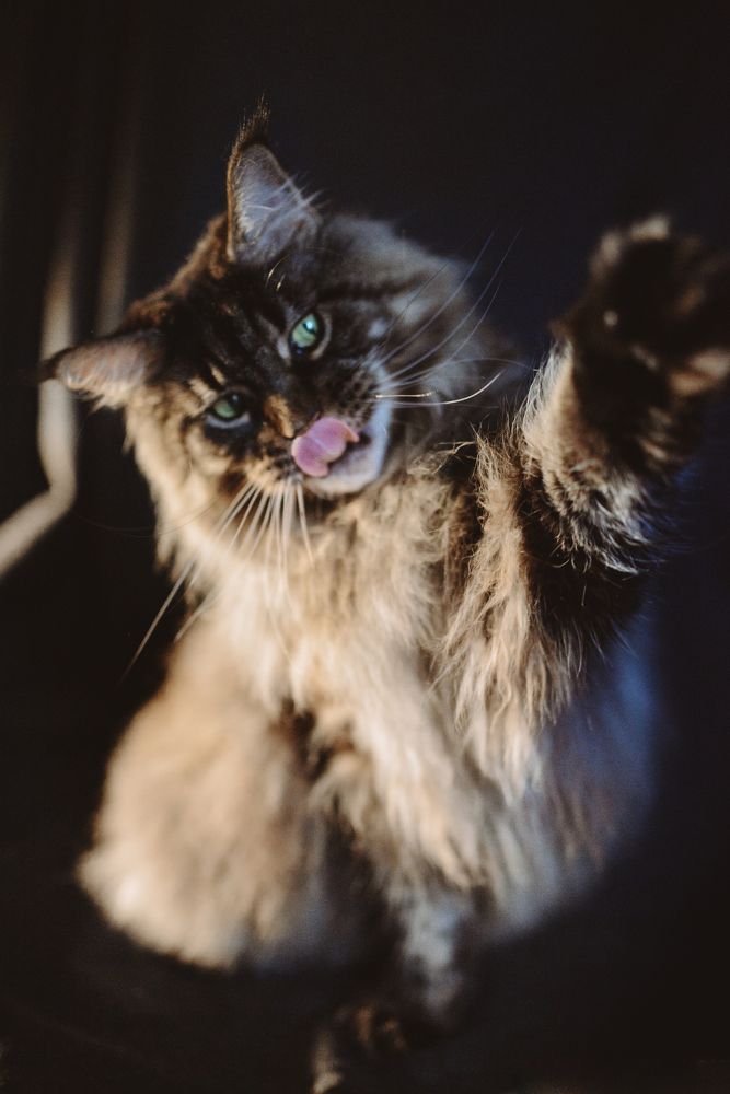 Photograph by Светлана Шмелева