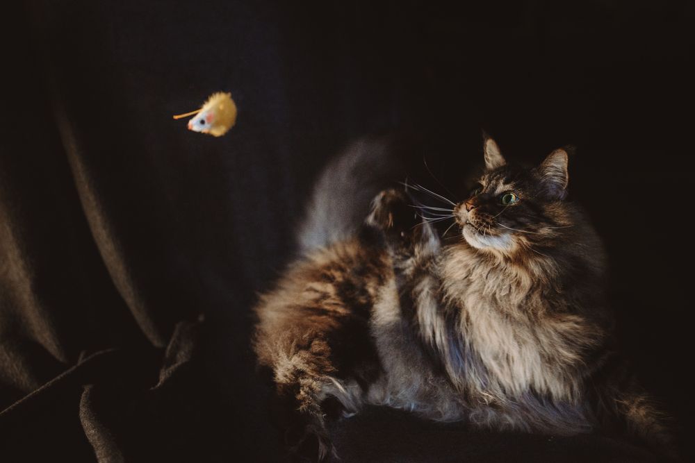 Photograph by Светлана Шмелева