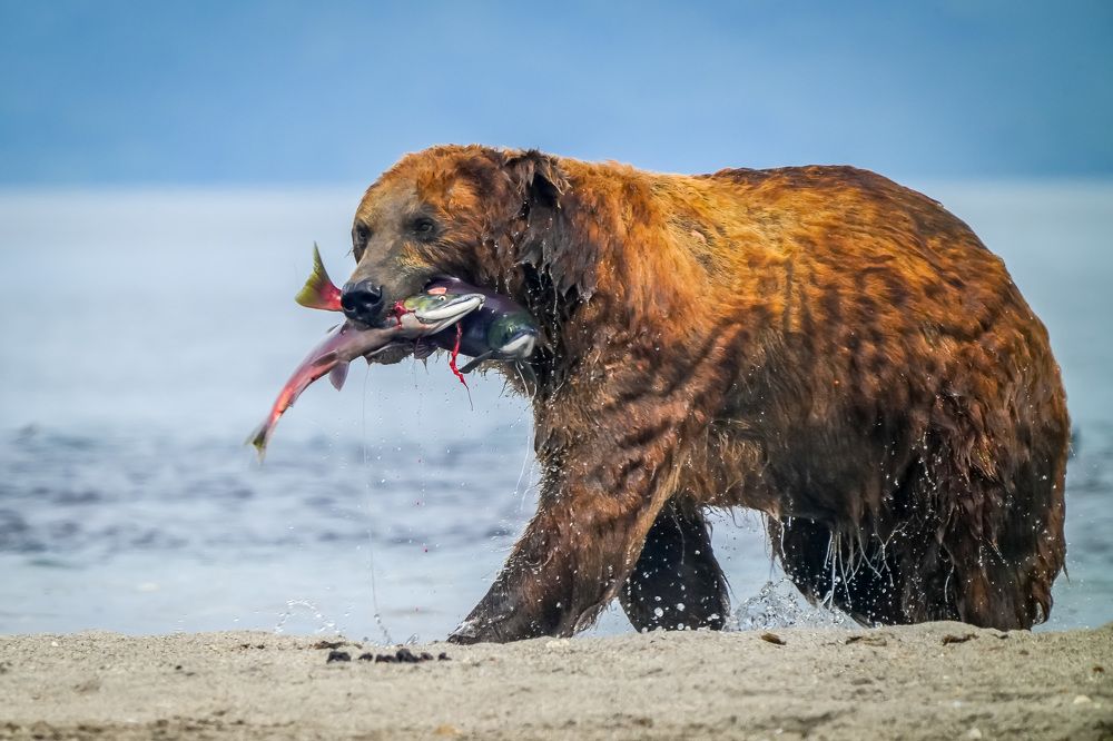 Photograph by Илья Труханов