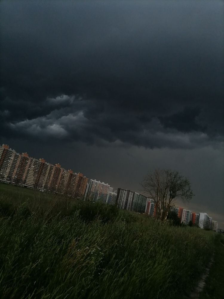 Photograph by Инна Николаева
