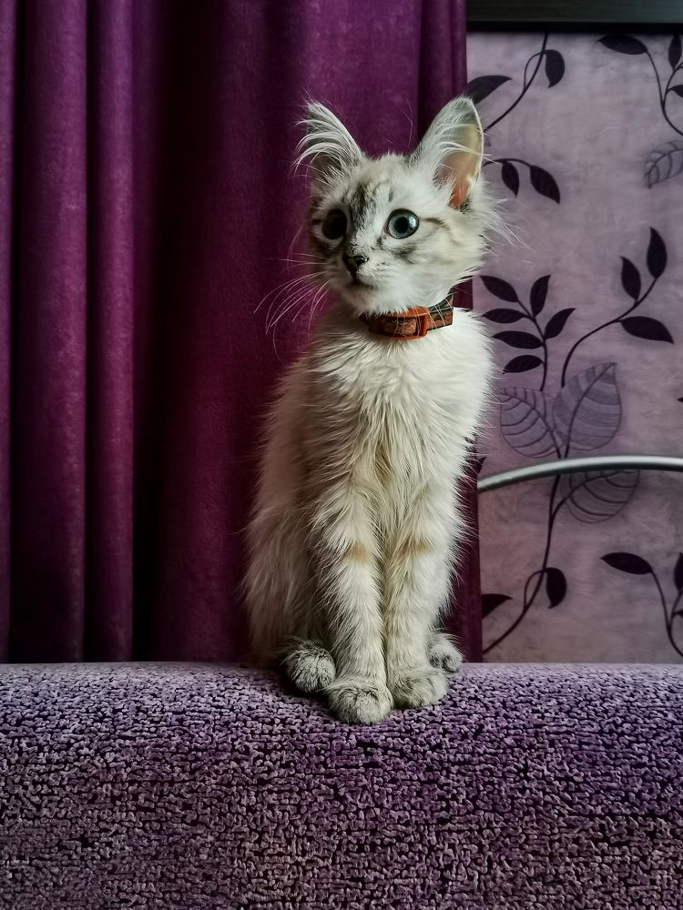 Photograph by Алёна Красова