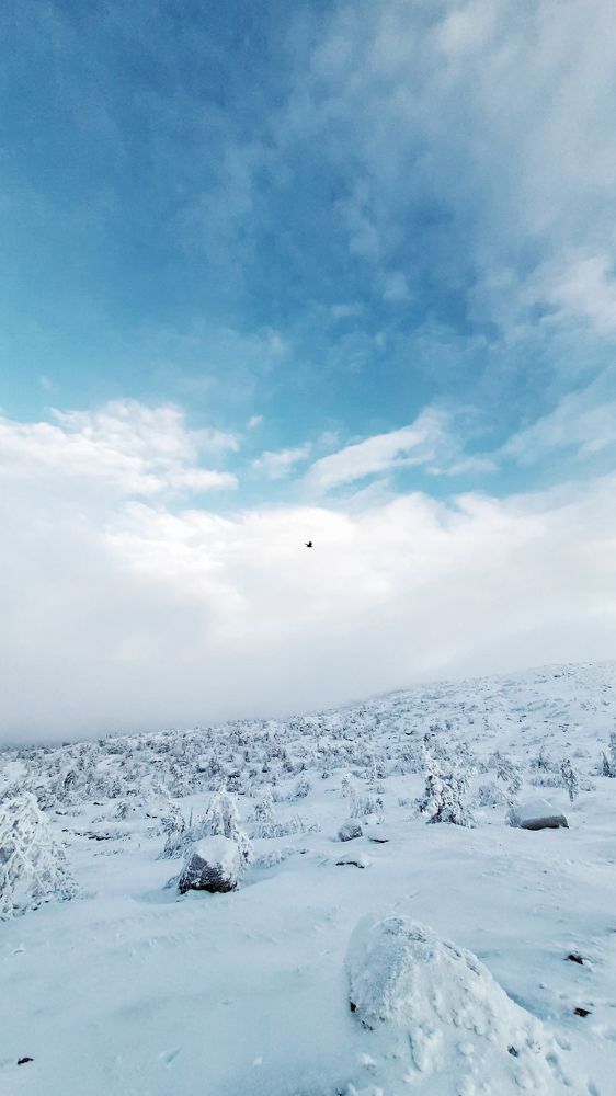 Photograph by Екатерина Михеева