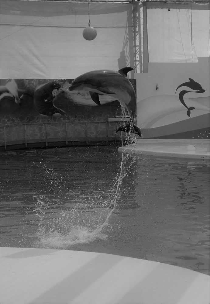 Photograph by Надежда