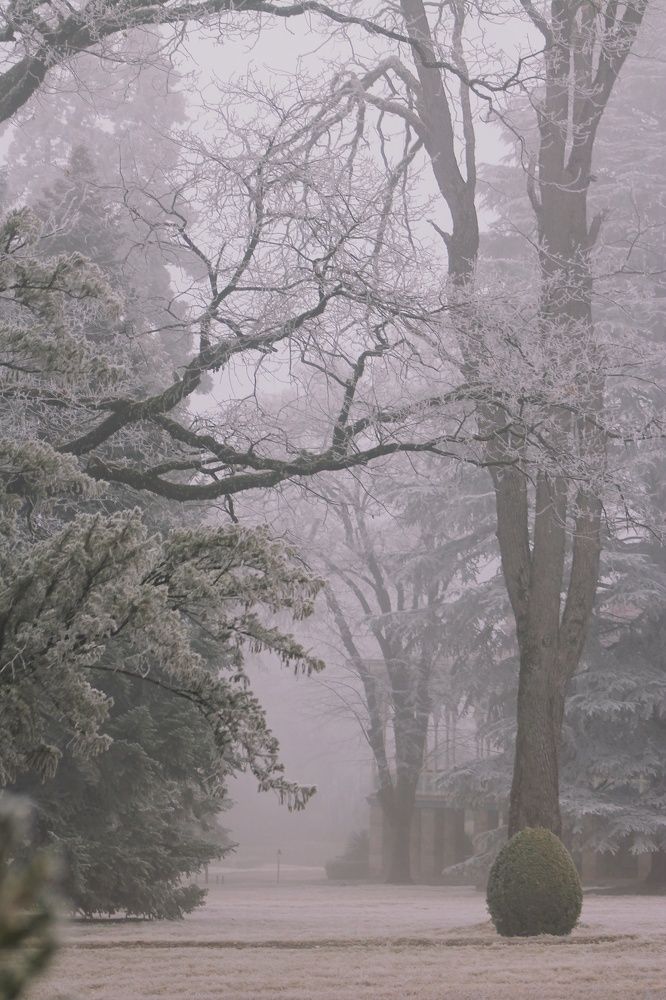 Photograph by Tinatin Gviniashvili-Chkhikvishvili