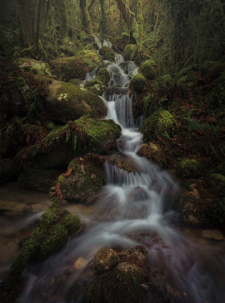 Photograph by Miguel Iglesias