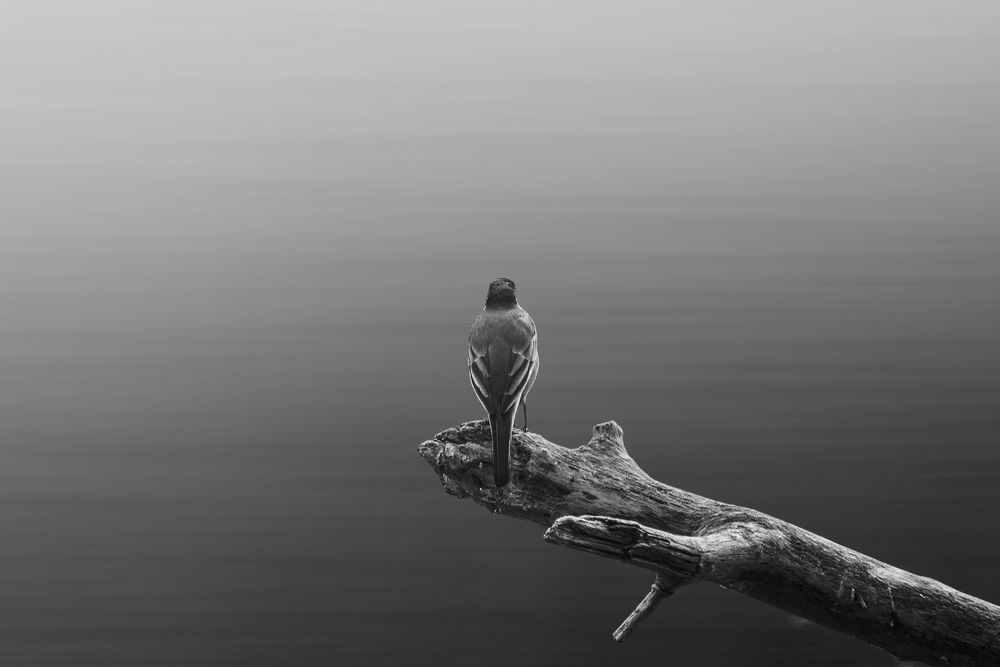 Photograph by INMACULADA HERNAEZ BENITO