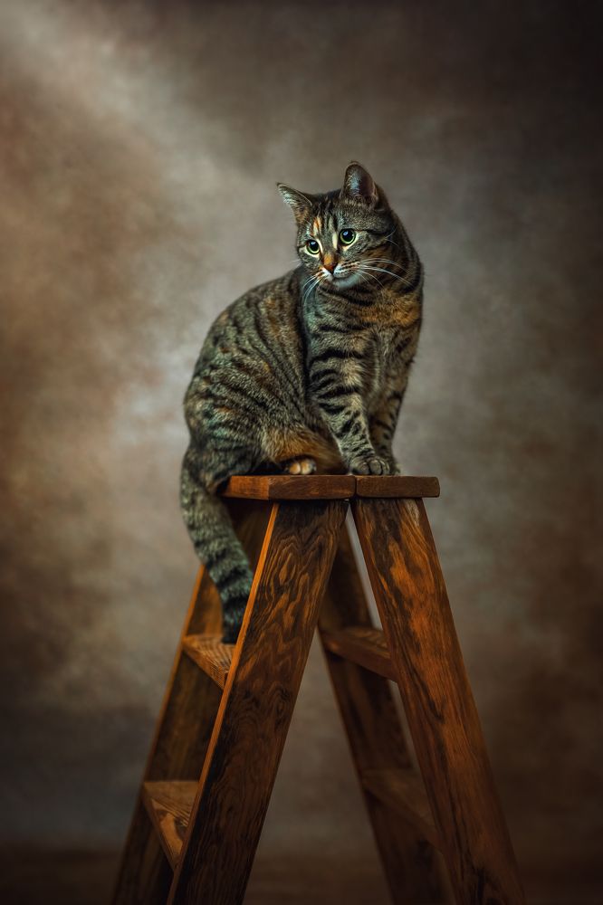 Фотография автора Kasia Kapała