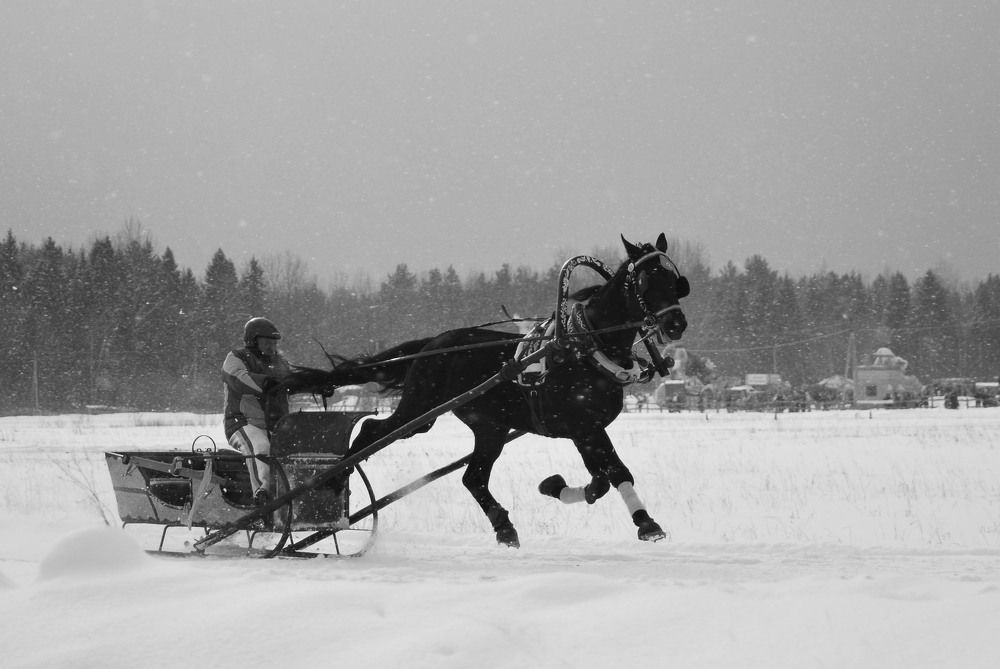 Фотография автора Наталья Липовская