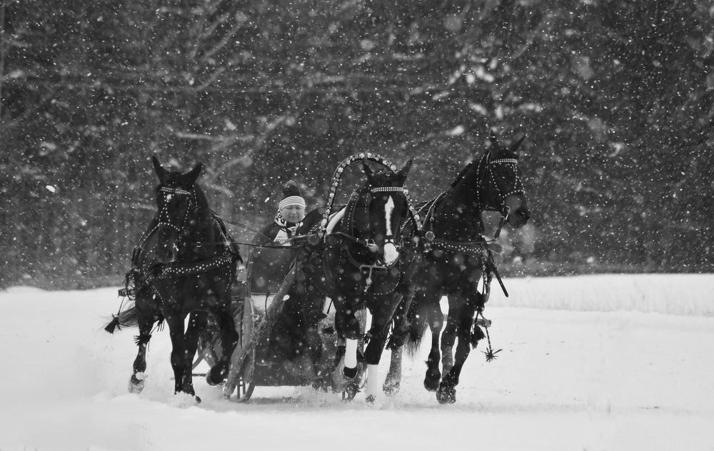 Фотография автора Наталья Липовская