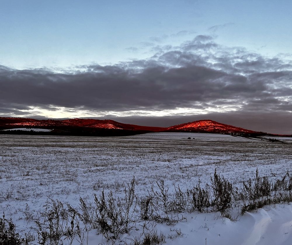 Photograph by Елена Мизина