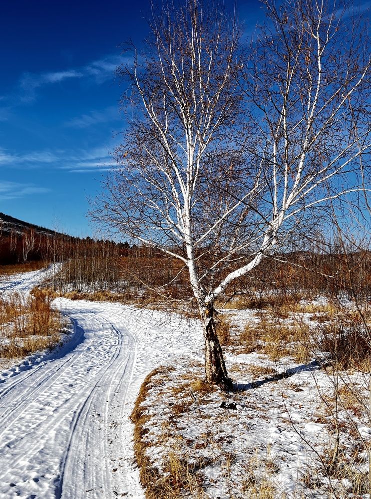 Photograph by Елена Мизина