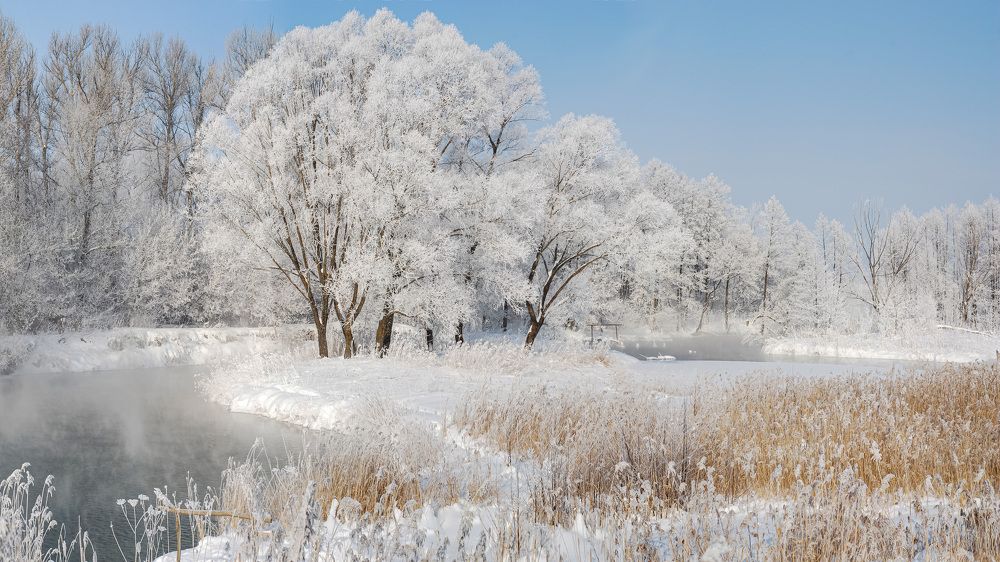 Photograph by Денисов Александр