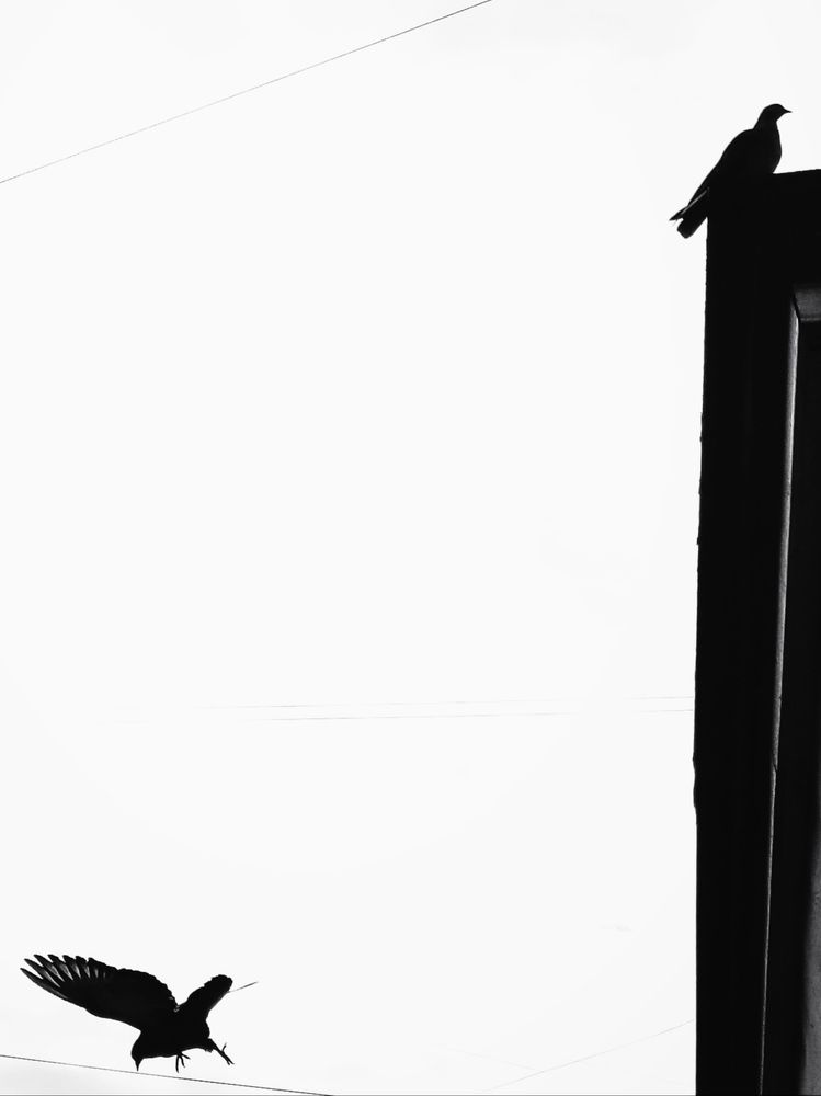 Photograph by Марина Хохрякова