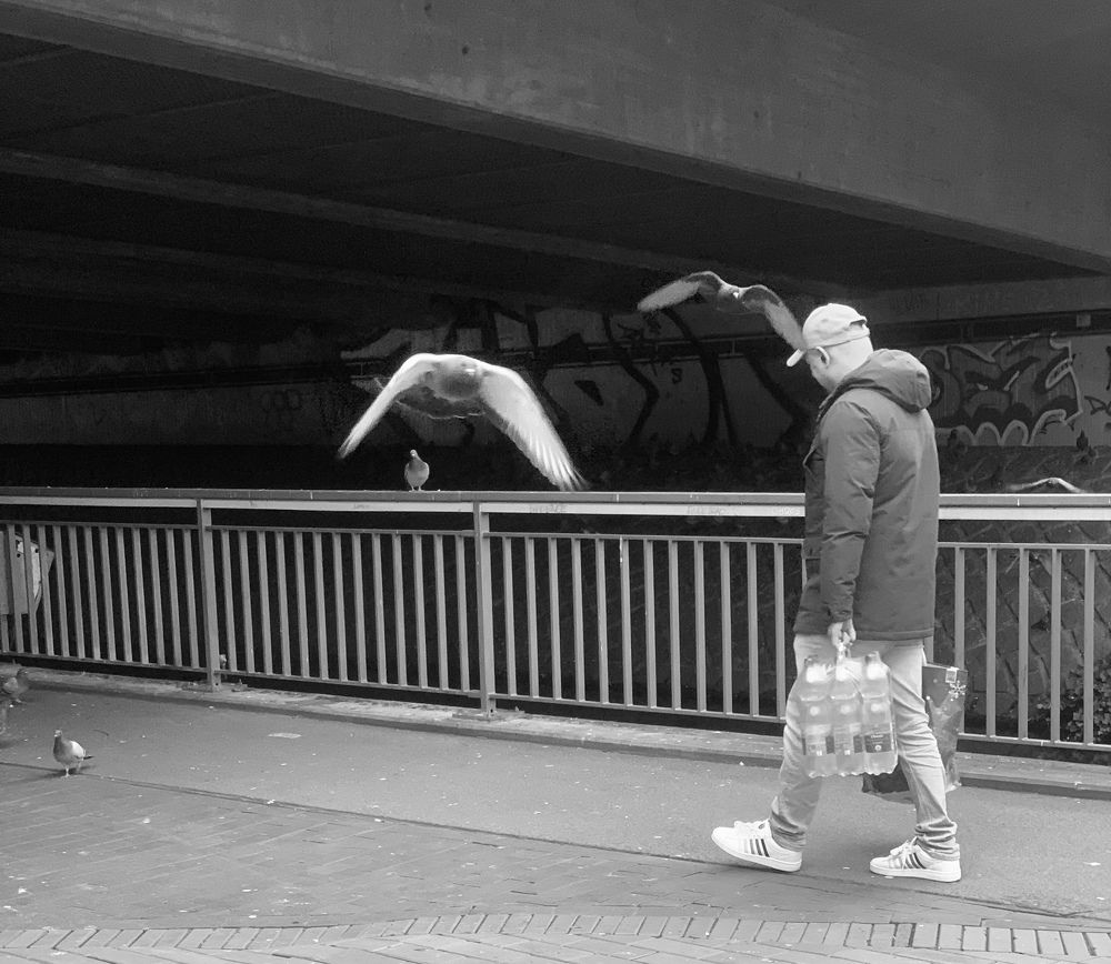 Photograph by Vasilisa Pokrovskaya