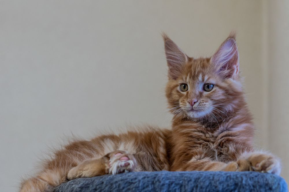 Photograph by Евгений Голубев