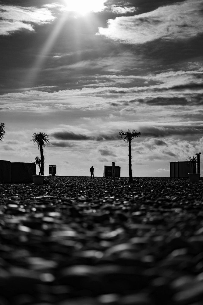 Photograph by Юлия Мамадалиева