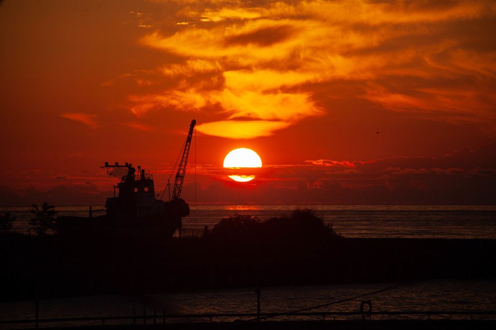 Photograph by Юлия Мамадалиева