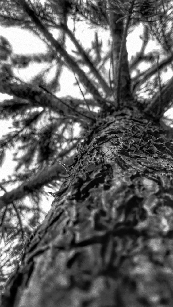 Photograph by Ирина Алпацкая