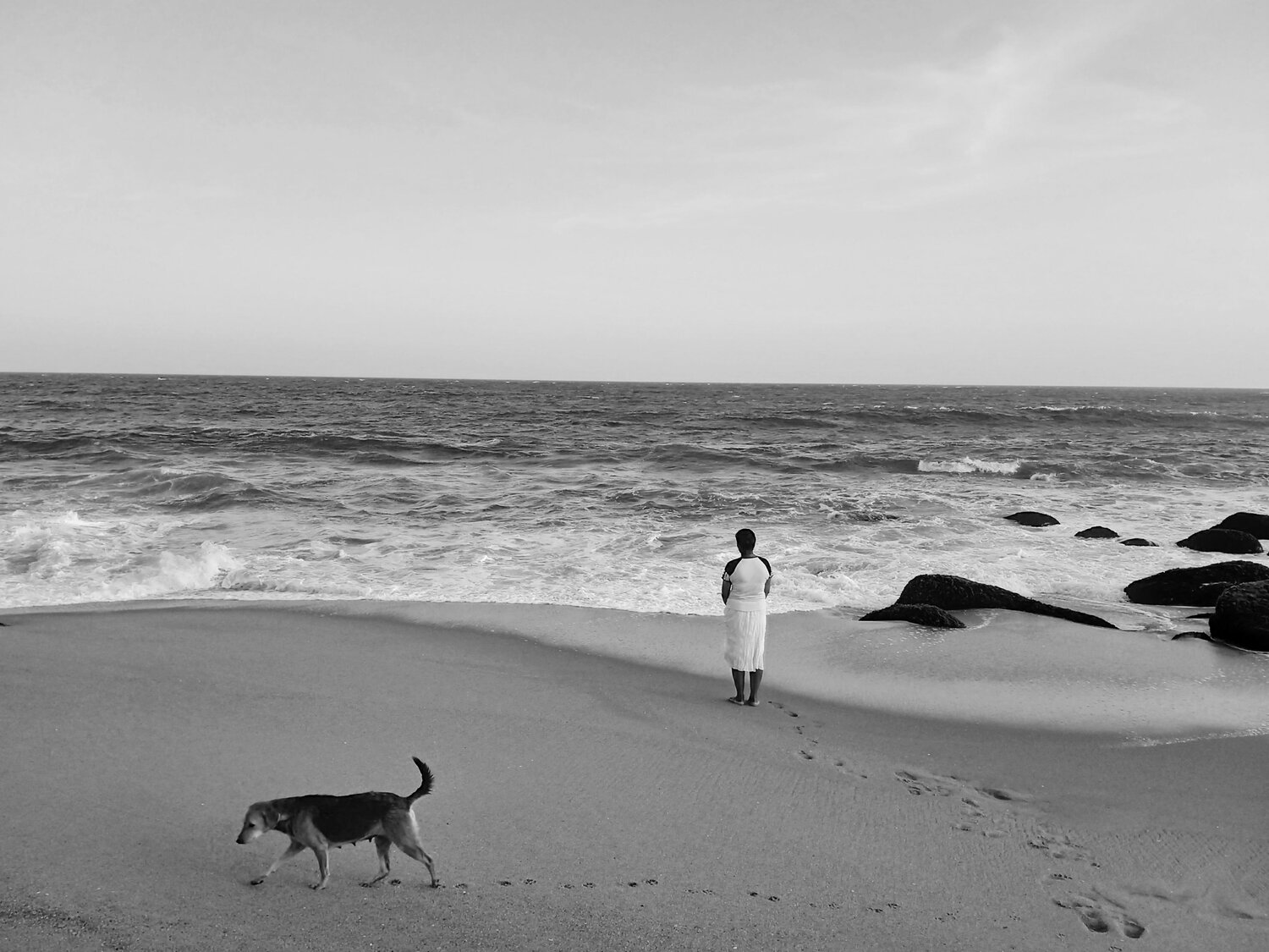 Photo #8710017