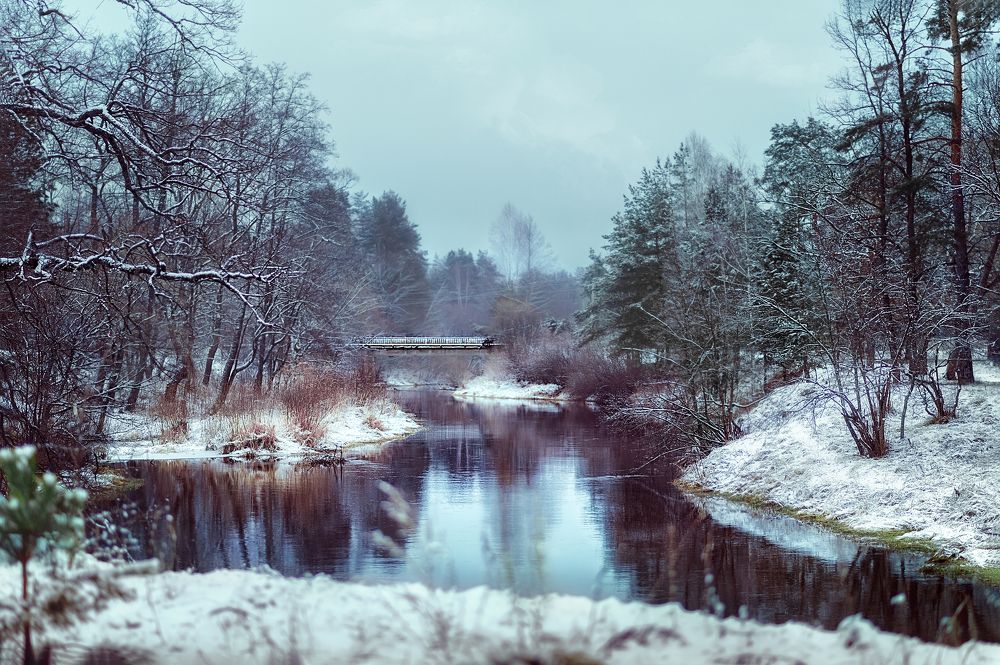 Photograph by Сивенок Елена