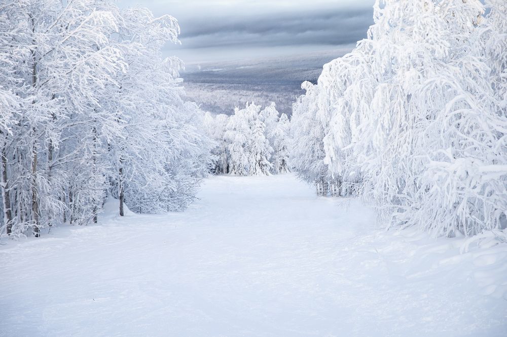 Photograph by Дмитрий Силаков