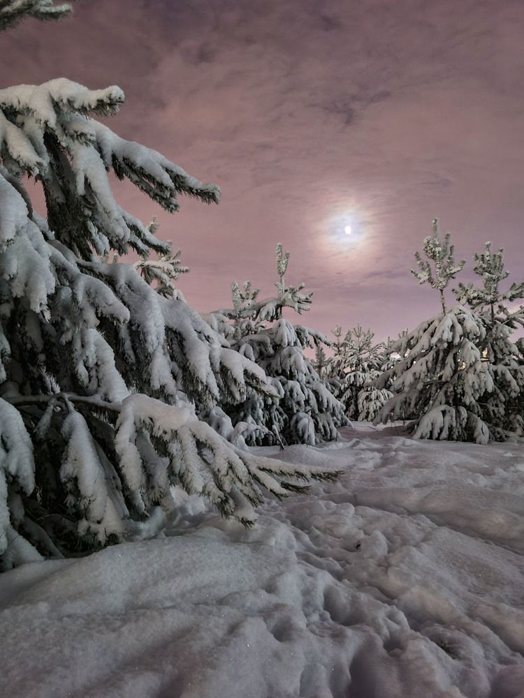 Photograph by Дмитрий Силаков