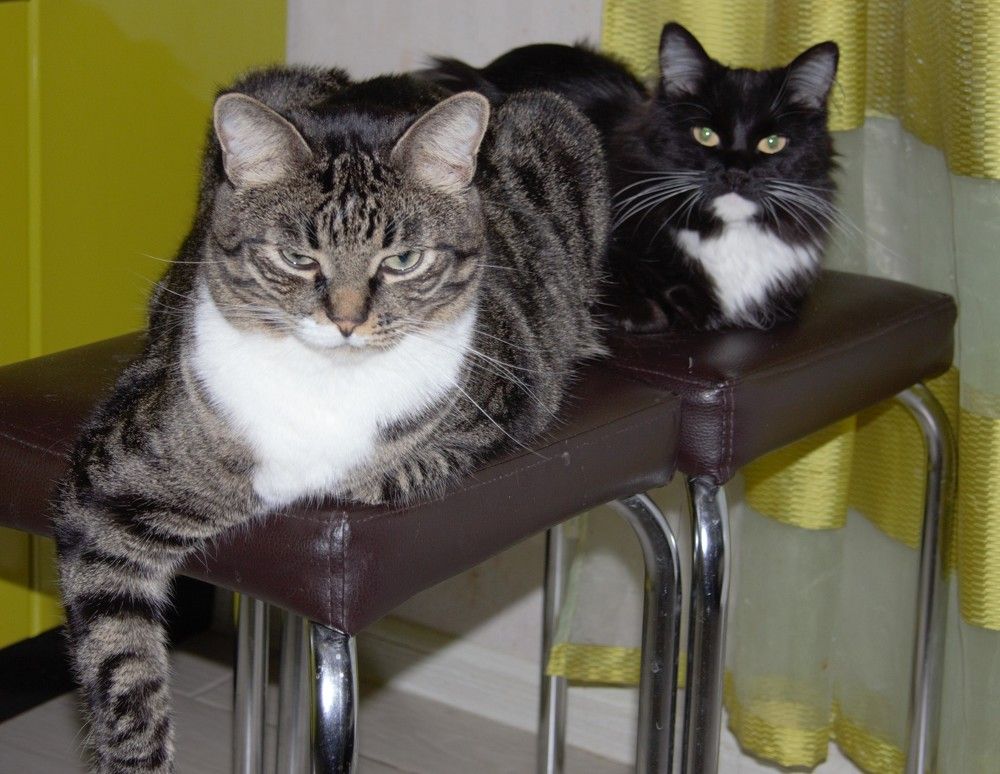 Photograph by Анна Авилочкина