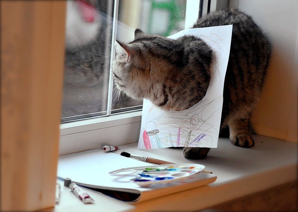 Фотография автора Ольга