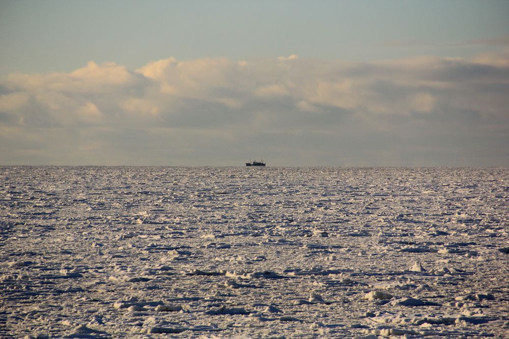 Photograph by Александр