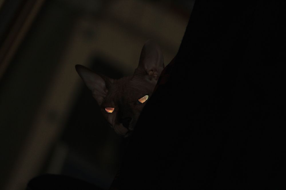 Photograph by Александр