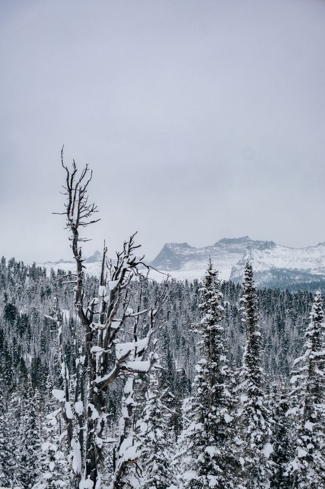 Фотография автора Дмитрий Ширнин