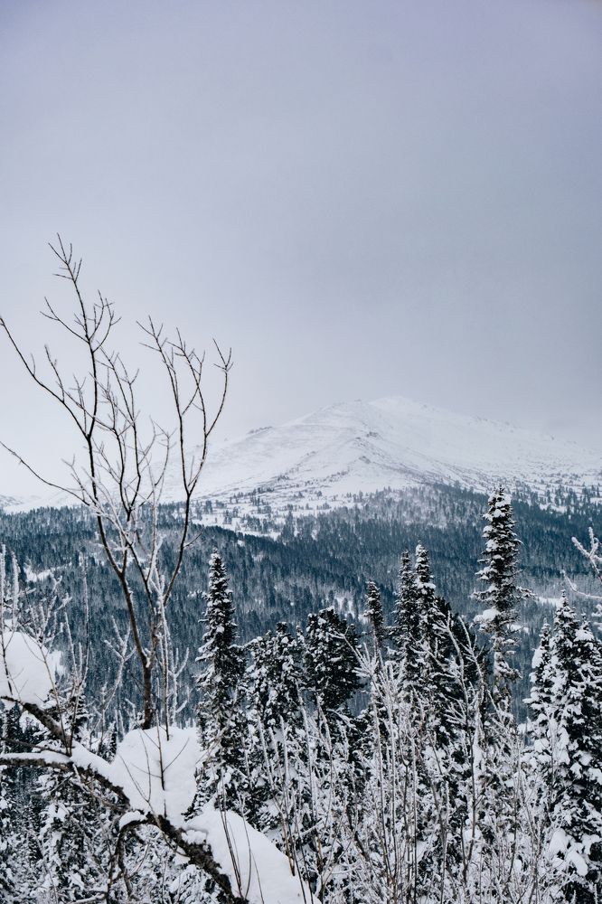 Фотография автора Дмитрий Ширнин