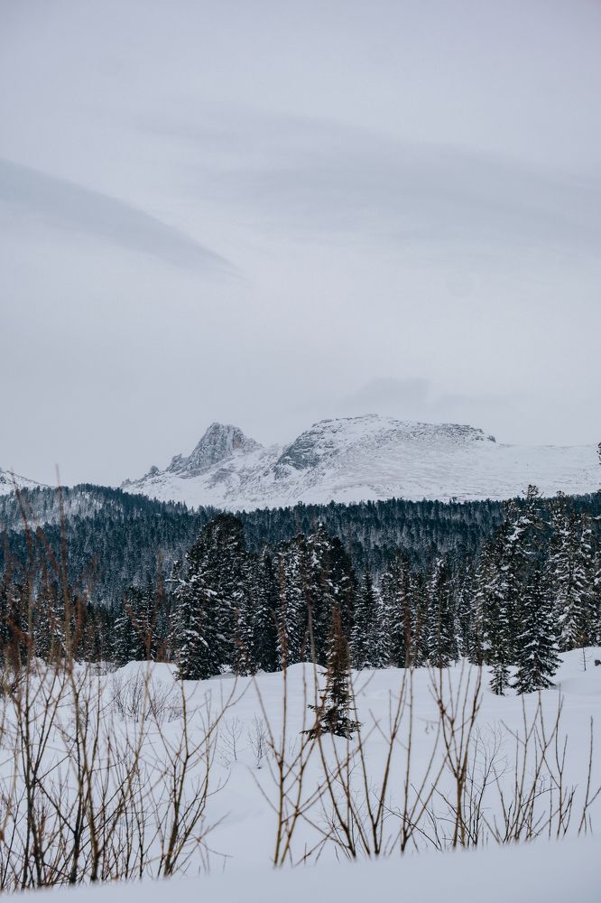Фотография автора Дмитрий Ширнин
