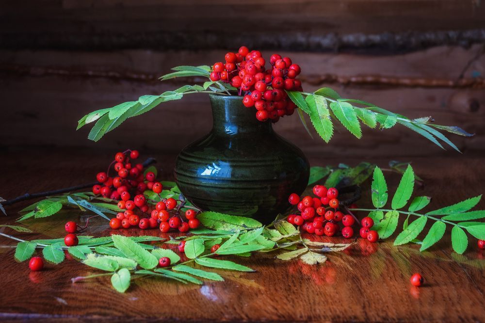 Photograph by Юлия Морозова