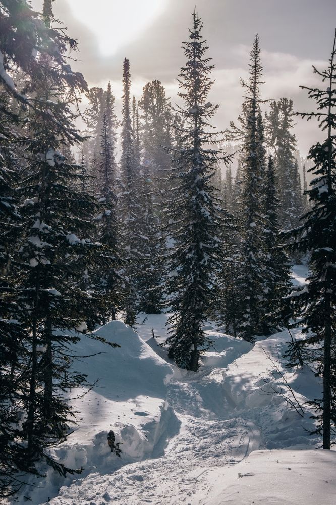 Фотография автора Дмитрий Ширнин