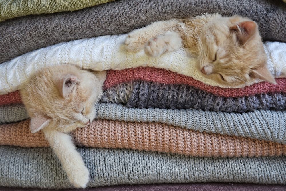 Photograph by Елена Чащина