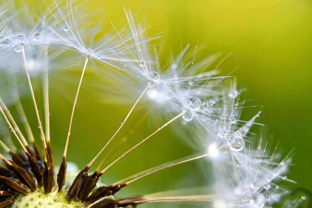 Photograph by Елена Чащина