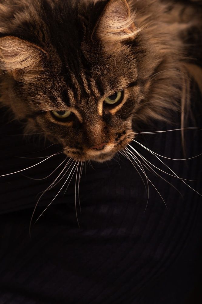 Photograph by Валерия Валынкина