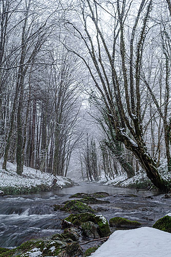 Photograph by Ivan Zhelyazkov