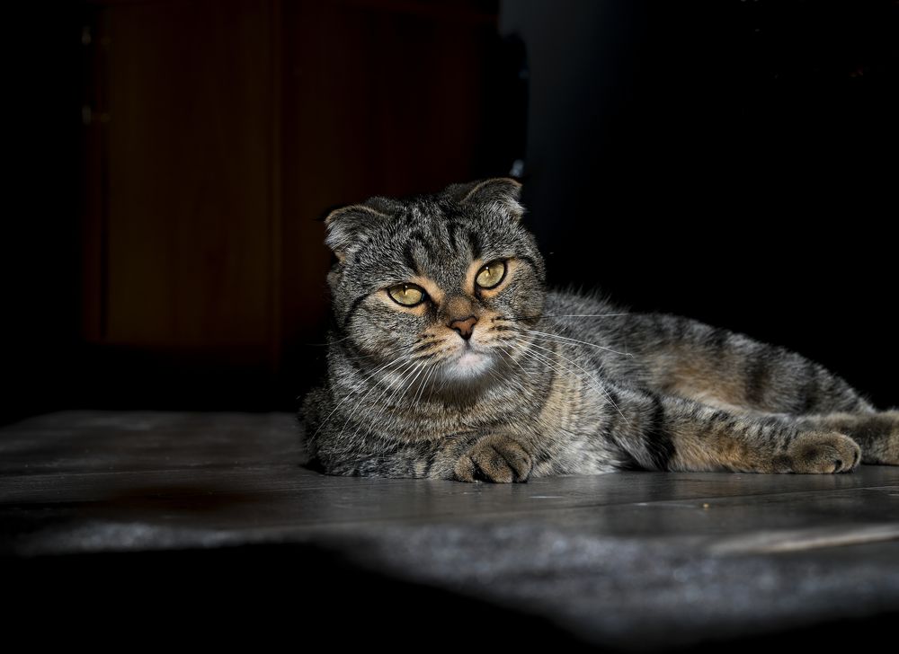 Photograph by Марьям Цимбельман