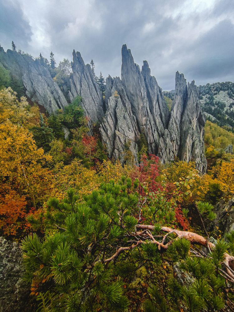 Photograph by Илья Толстоноженко