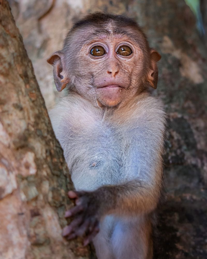 Photograph by Mohamed Raseem