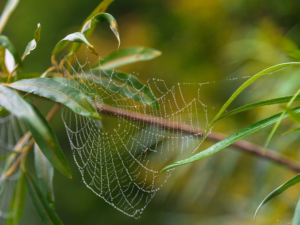 Photograph by Людмила