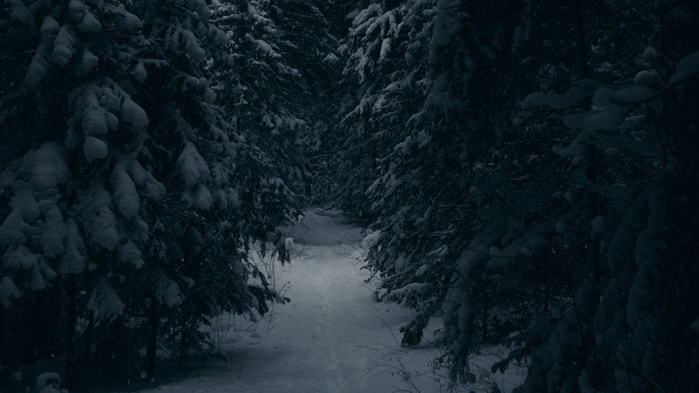 Photograph by Валентина Лугачева