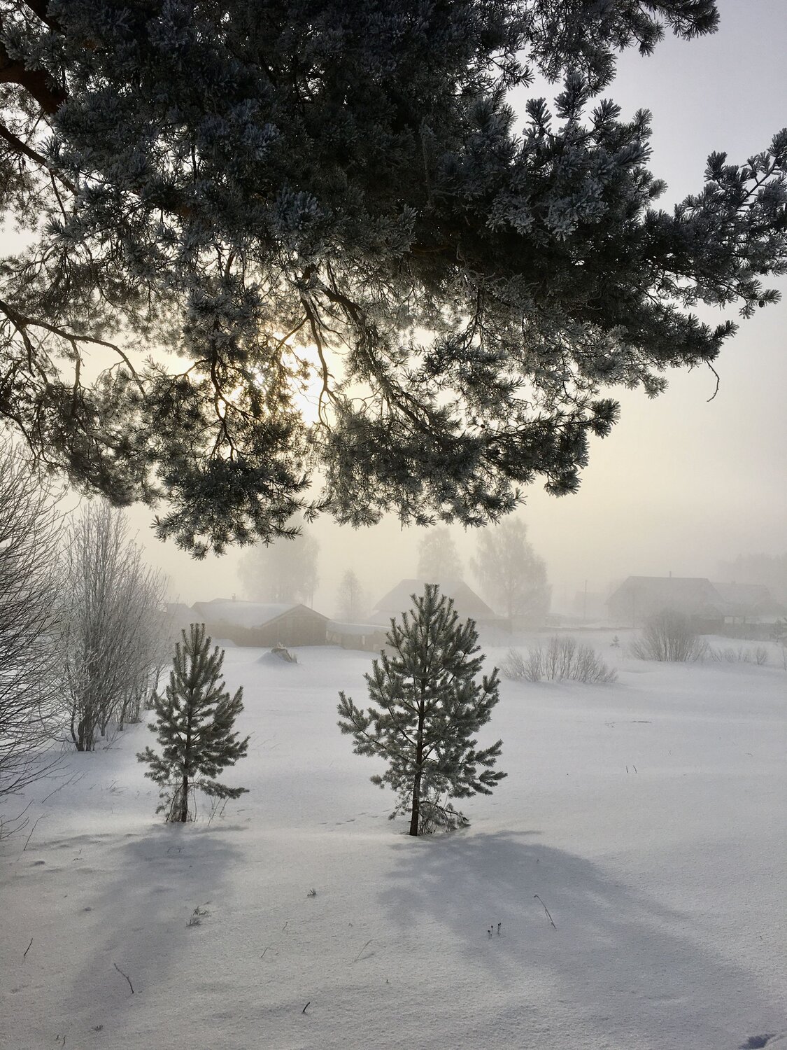 Photo #8710353