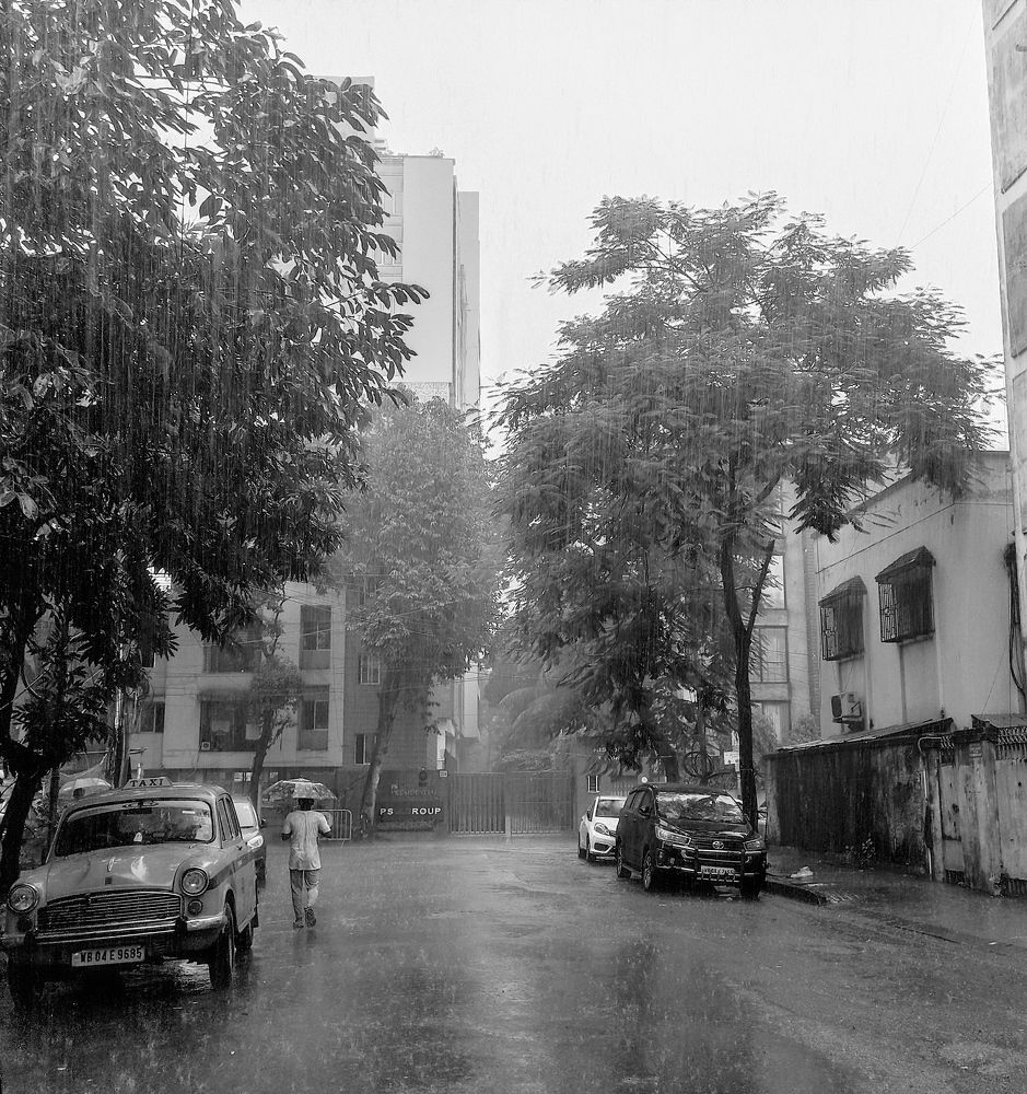 Photo #8710361